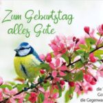 alles gute zum geburtstag
